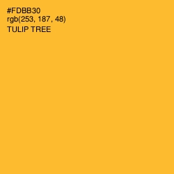 #FDBB30 - Tulip Tree Color Image